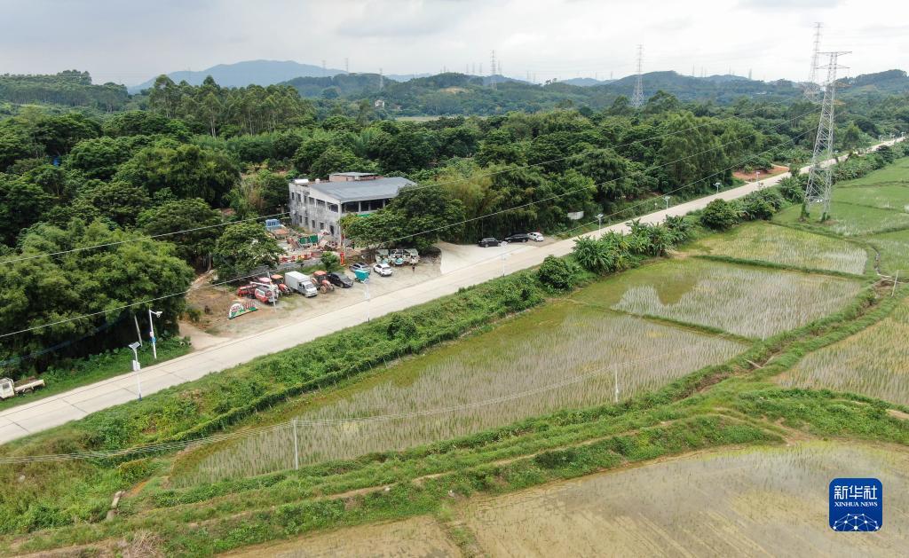 水果狂欢九线机可提现